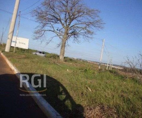 Terreno para Venda - 0m², 0 dormitórios, Protásio Alves