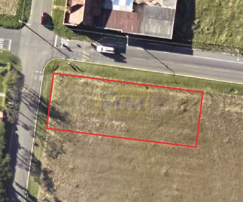 Terreno com 904,56 m2 no Centro de Pinhais/PR