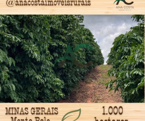 VENDO FAZENDA de CAFÉ na regiao de Monte Belo em MINAS GERAIS com 1.000 hectares