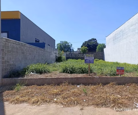 Terreno Padrão em Mirassol