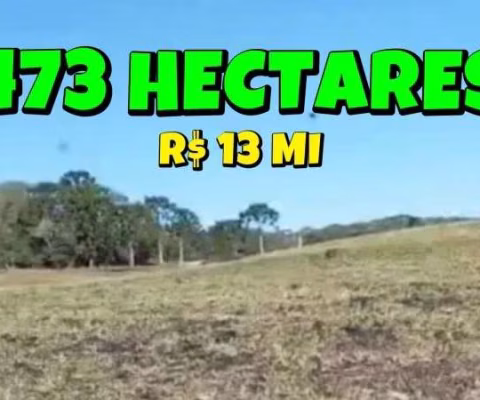 [814] Fazenda em São Francisco De Paula, Escriturada, com 473 hectares
