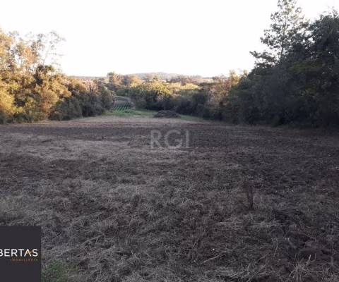 Sítio para Venda com 11269.6m² no bairro Lageado