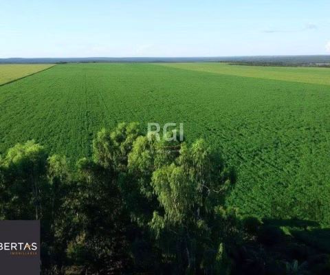 Fazenda à venda Centro Sapezal/MT
