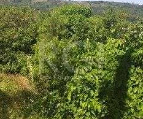Terreno para Venda - 0m², 0 dormitórios, Aberta dos Morros/ Altos do Santa Rita,