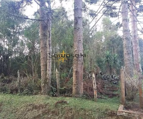 Terreno Lote para Venda em Rio de Una São José dos Pinhais-PR