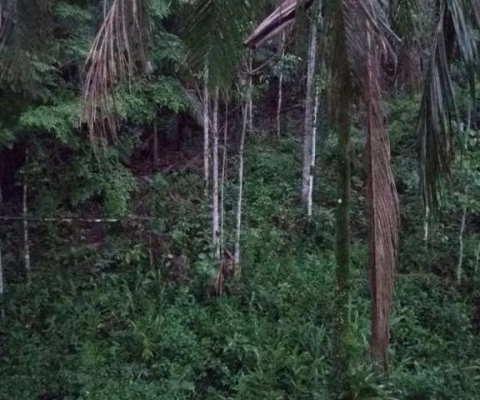 Chácara para Venda em Morretes, Estrada do Anhaia