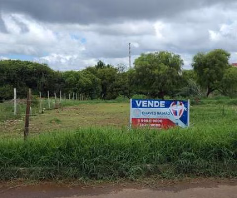 Terreno para Venda em Guarapuava, Conradinho