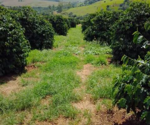Fazenda para Venda em Varginha, Centro