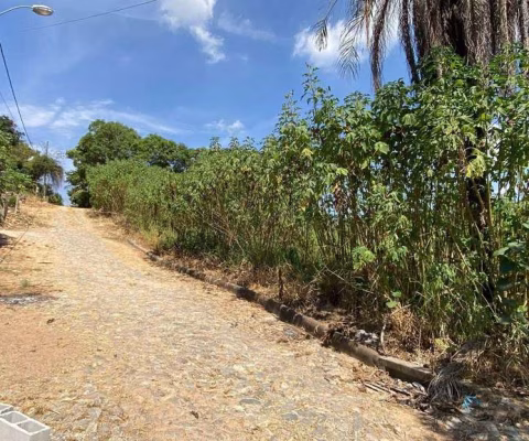 Terreno à venda, 4000 m² por R$ 300.000 - Quintas do Rio das Águas Claras - Brumadinho/MG