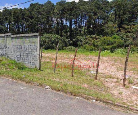 OPORTUNIDADE PARA SEU NEGÓCIO AO LADO DA RODOVIA VIA DUTRA- Terreno para alugar, 1000 m² por R$ 7.000/mês - Jardim Vitória - Arujá/SP