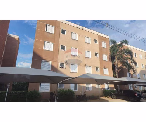 Apartamento para venda em Vila Fiori de 47.00m² com 2 Quartos