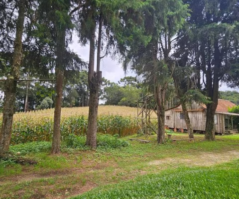 Chácara para venda em Área Rural De Araucária de 216.00m² com 1 Quarto