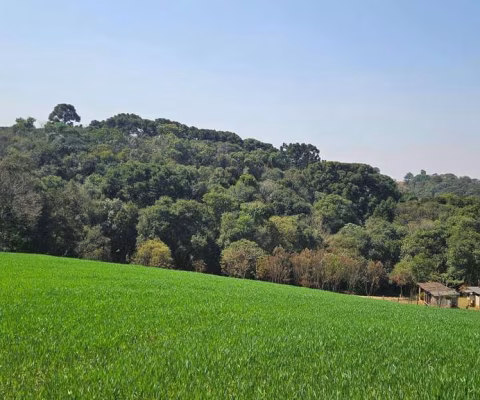Chácara para venda em Capela Velha de 20000.00m² com 1 Quarto