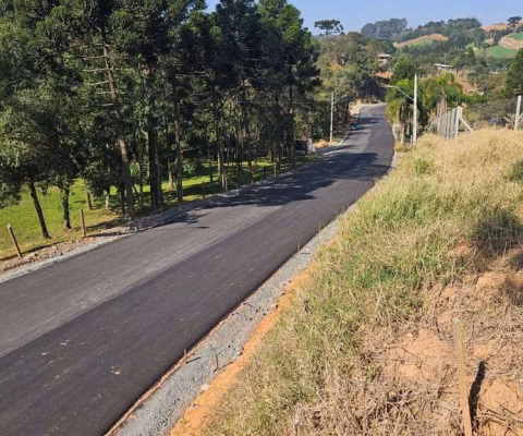 Chácara para venda em Área Rural De Araucária de 10975.00m² com 1 Quarto