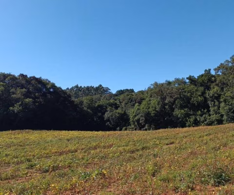 Chácara para venda em Área Rural De Araucária de 23482.00m² com 1 Quarto