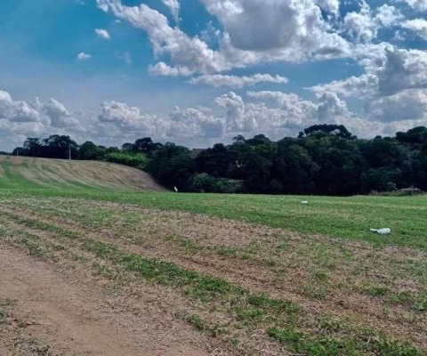 Chácara para venda em Área Rural De Araucária de 23606.00m² com 1 Quarto