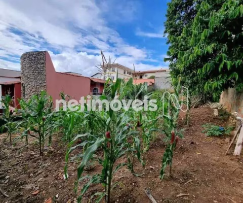 Venda Lote-Área-Terreno Santa Branca Belo Horizonte