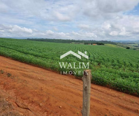 ???? FAZENDA DE CAFÉ PREMIUM À VENDA EM PIUMHI-MG – 52 HECTARES DE OPORTUNIDADE!