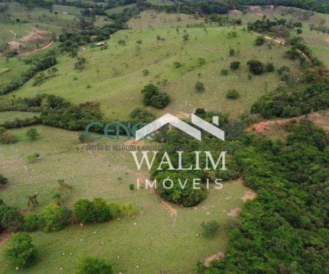 ???? FAZENDA À VENDA COM 96 HA EM BONFIM/MG – PRODUTIVIDADE, BELEZA E SUSTENTABILIDA