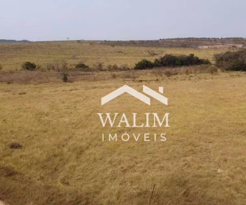 EXCLUSIVO! FAZENDA DE 650 HECTARES EM FELIXLÂNDIA (MG) – OPORTUNIDADE NO AGRONEGÓCIO!