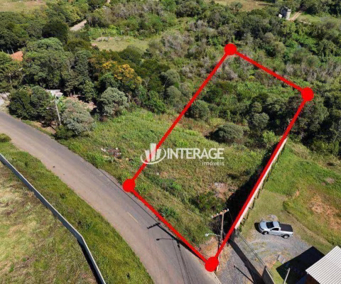 Terreno à venda, 8217 m² por R$ 720.000,00 - Butiatuvinha - Curitiba/PR
