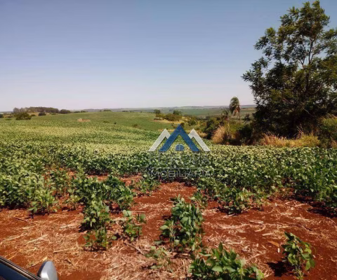 Fazenda à venda, 1936000 m² por R$ 15.000.000,00 - Distrito Primavera  - Leópolis/PR