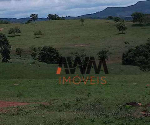 Fazenda à venda, 1887600 m² por R$ 8.580.000,00 - Alto da Bela Vista - Itaberaí/GO