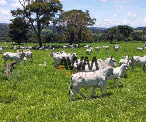 Fazenda à venda, 5008300 m² por R$ 55.000.000,00 - Centro - Leopoldo de Bulhões/GO