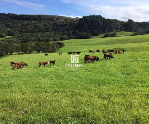Fazenda com 609 hectares para pecuária em Santana da Boa Vista/RS