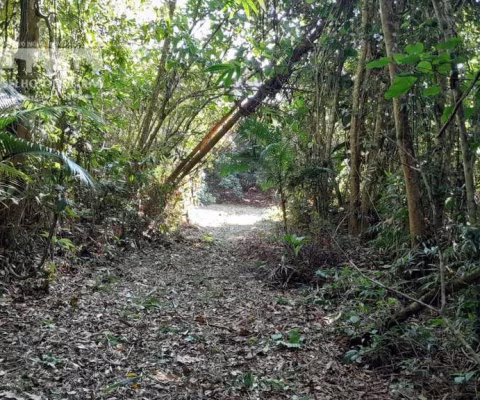 Sítio em Zona Rural  -  Pariquera-Açu
