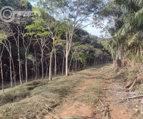 Sítio em Zona Rural  -  Pariquera-Açu SP