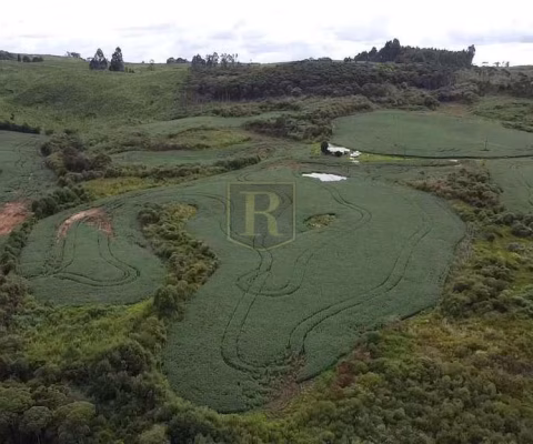 Chácara para Venda em Inácio Martins, Área Rural
