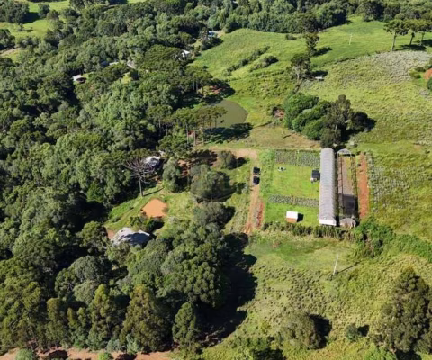 Chácara para Venda em Guarapuava, Guabiroba