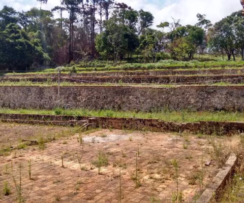 Fazenda à venda na Área Rural, Área Rural de Amparo, Amparo