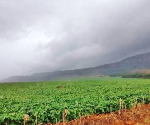 Fazenda à venda na serra da canastra, Centro, São Roque de Minas