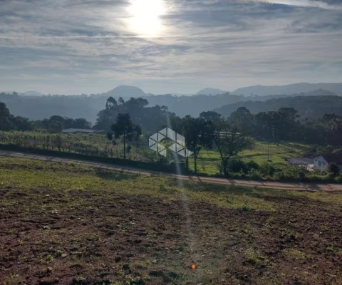 Terreno amplo