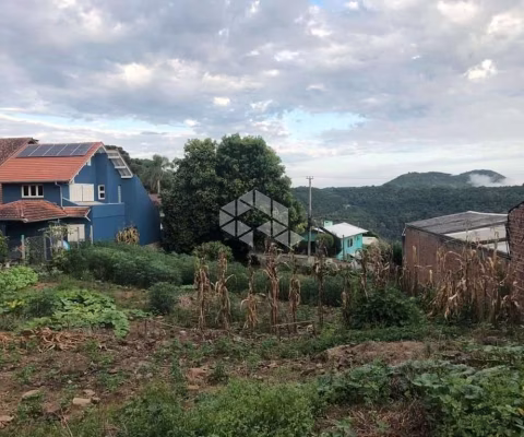 Terreno amplo em Nova Petrópolis em localização central.