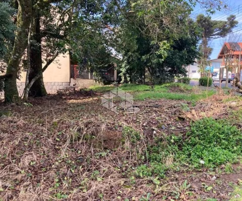 Terreno central