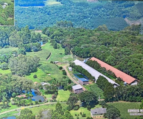 Granja porteira fechada a venda