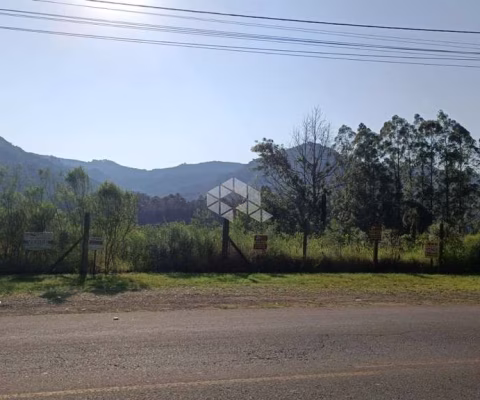 Terreno de 2.440 m² à Venda na Av. Presidente Lucena, Picada Café