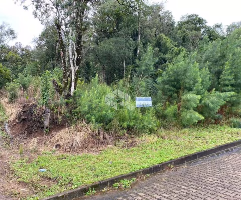 Terreno em bairro tranquilo com infraestrutura