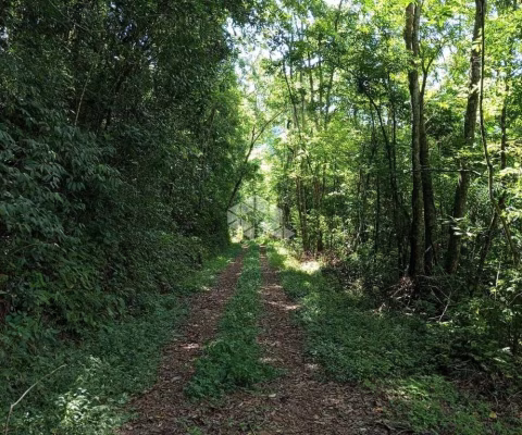 Chácara de 2,4 ha para venda por R$ 250.000