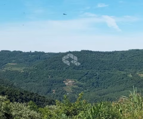 Excelente Chácara na Serra Gaúcha