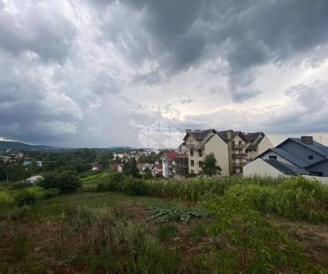 Amplo Terreno  no com Vista