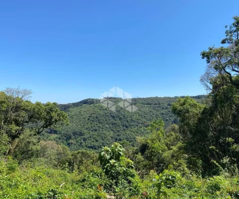 Chácara plana com vista na Serra Gaúcha