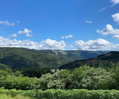 Sítio amplo com vista e casa.