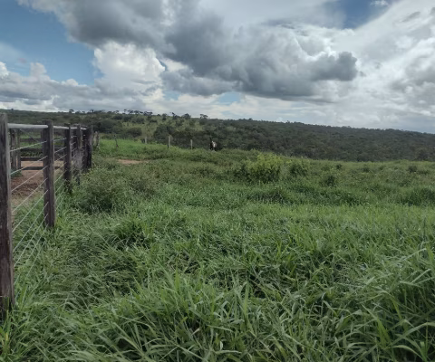 Fazenda de 28 alqueires para pecuária a venda em Goiás