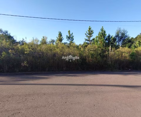 Terreno à venda  no bairro Bela Vista