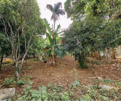 Terreno Espaçoso e Arborizado – Um Refúgio na Cidade