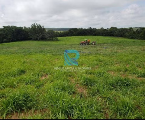 Fazenda Pecuária 45 hectares Viamão